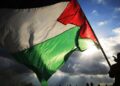 فلسطینی دھڑوں نے نکولے ملادی نوف کے منصوبے پر باضابطہ جواب جمع کرا دیا