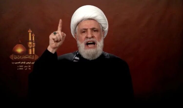 لبنانی مزاحمت کو کمزور کرنے کی خطرناک سازشیں جاری ہیں: نعیم قاسم