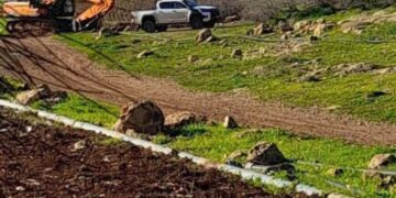 قابض اسرائیل نے طوباس میں سیکڑوں درخت اکھاڑ دیے، اراضی کی تباہی جاری