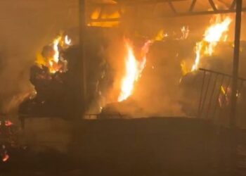 اقوام متحدہ: مغربی کنارے میں یہودی آبادکاروں کی جارحیت ناقابلِ برداشت، فوری روکی جائے