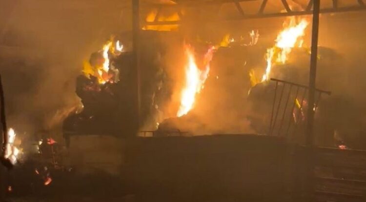 اقوام متحدہ: مغربی کنارے میں یہودی آبادکاروں کی جارحیت ناقابلِ برداشت، فوری روکی جائے