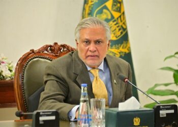 فلسطین کی آزادی کے لیے مسلم ممالک متحد ہو کر کردار ادا کریں: اسحاق ڈار