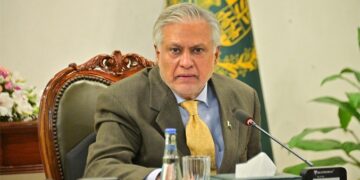 فلسطین کی آزادی کے لیے مسلم ممالک متحد ہو کر کردار ادا کریں: اسحاق ڈار