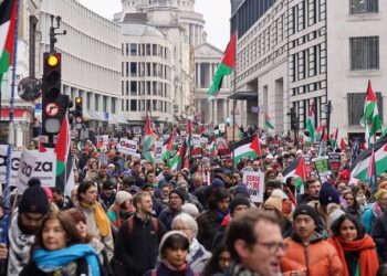 ’فلسطین ایکشن‘ کو دہشت گرد قرار دینا، فلسطین سے یکجہتی پر کھلا حملہ ہے
