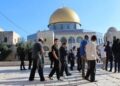 صہیونی فوج کی سخت سکیورٹی میں 116 یہودی آبادکار مسجد اقصیٰ میں داخل