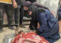 غزہ میں قابض صہیونی فوج کی فائرنگ اور بمباری، 4 فلسطینی شہید