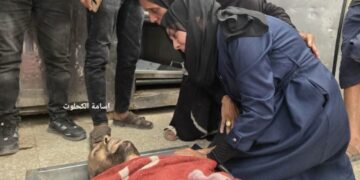 غزہ میں قابض صہیونی فوج کی فائرنگ اور بمباری، 4 فلسطینی شہید
