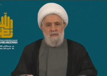جنوبی لبنان میں اسرائیل نہیں رہے گا، مسئلے کا حل انخلاء سے شروع ہوگا: نعیم قاسم