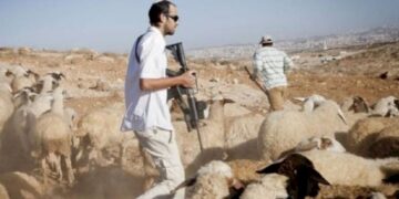 حماس نے آبادکاروں کی دہشت گردی کو فلسطینی سرزمین کے الحاق کی کوشش قرار دے دیا